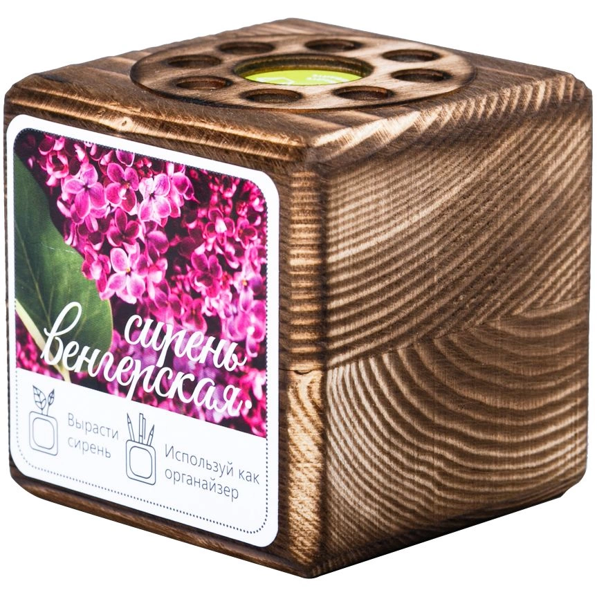 Набор для выращивания с органайзером «Экокуб Burn», сирень фото 1