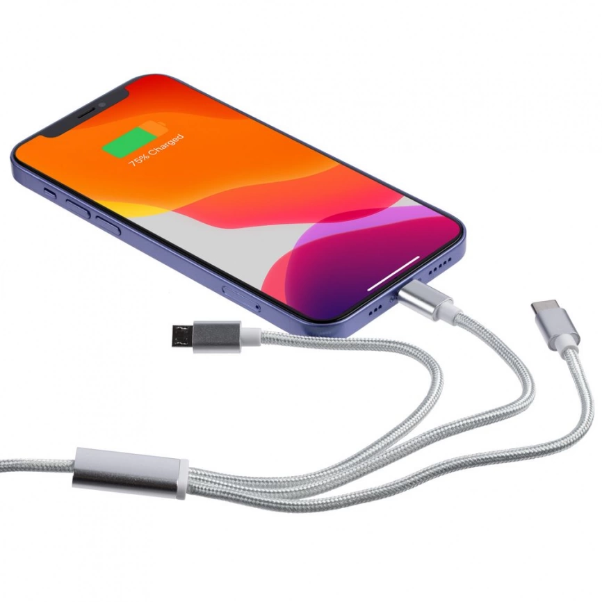 Кабель Triple Power Delivery в футляре фото 3