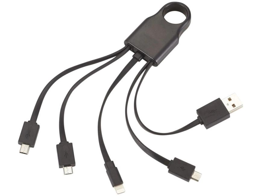 Кабель для зарядки Squad 4-в-1, черный фото 1