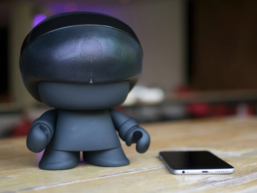 Портативная колонка XOOPAR Grand XBOY, черный (Р) фото 8