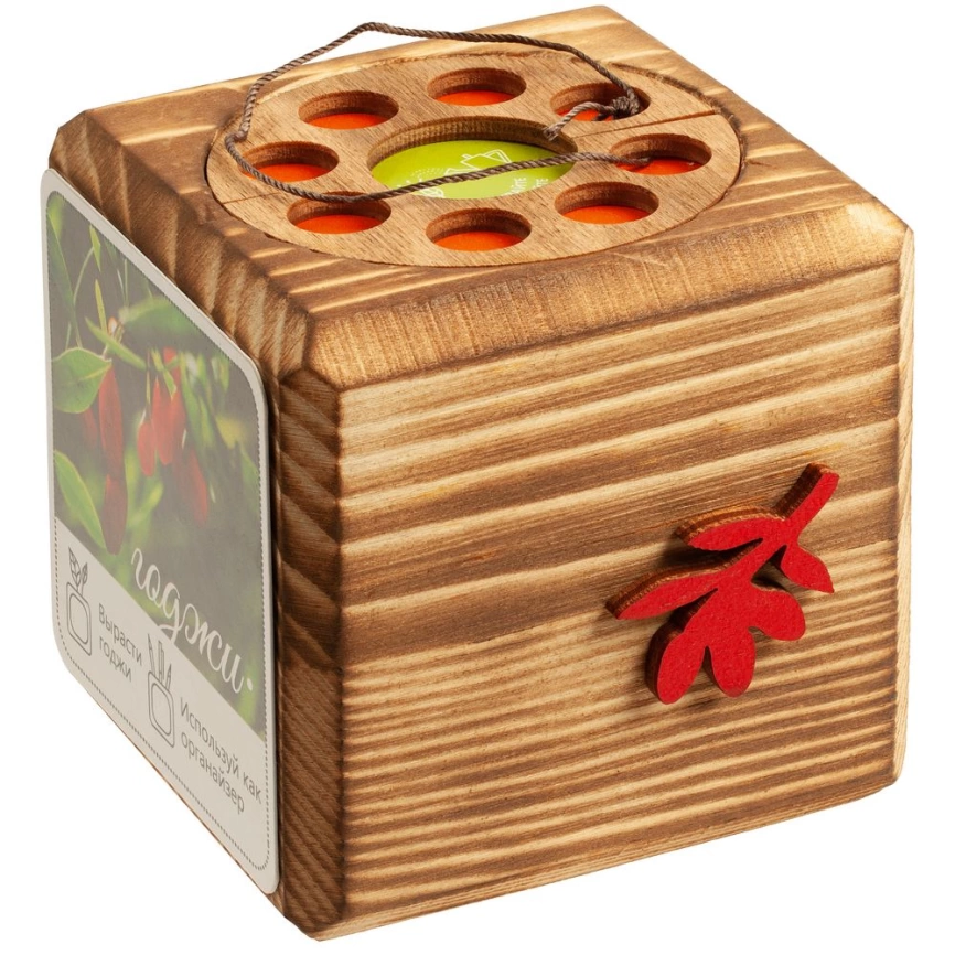 Набор для выращивания с органайзером «Экокуб Burn», годжи фото 11