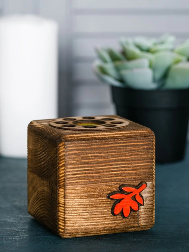 Набор для выращивания с органайзером «Экокуб Burn», годжи фото 3