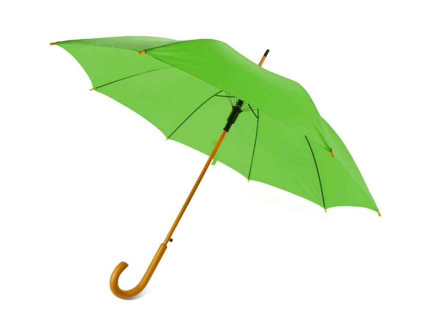Зонт-трость Радуга, зеленое яблоко фото 1