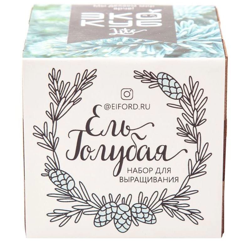 Набор для выращивания «Экокуб Lite», ель голубая фото 3
