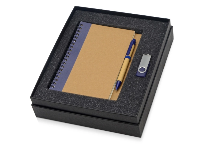 Подарочный набор Essentials с флешкой и блокнотом А5 с ручкой, синий фото 1