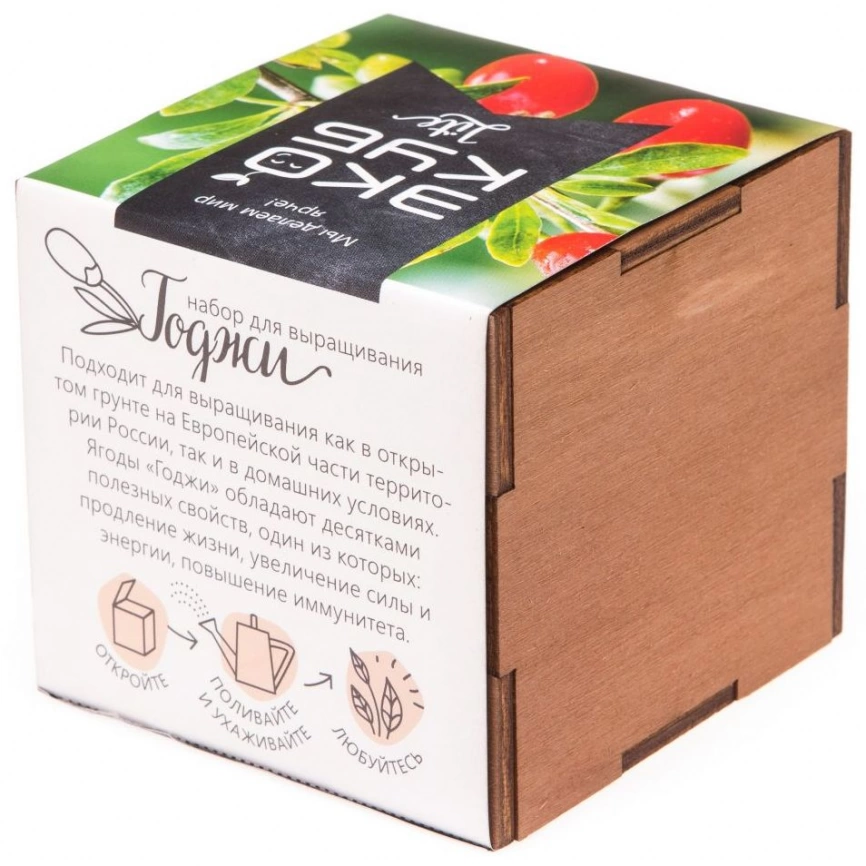 Набор для выращивания «Экокуб Lite», годжи фото 3