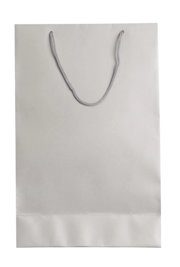 Пакет бумажный «Блеск», средний, серебристый фото 2