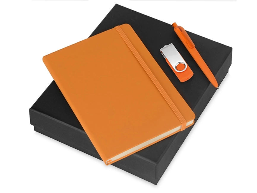 Подарочный набор Vision Pro Plus soft-touch с флешкой, ручкой и блокнотом А5, оранжевый фото 1