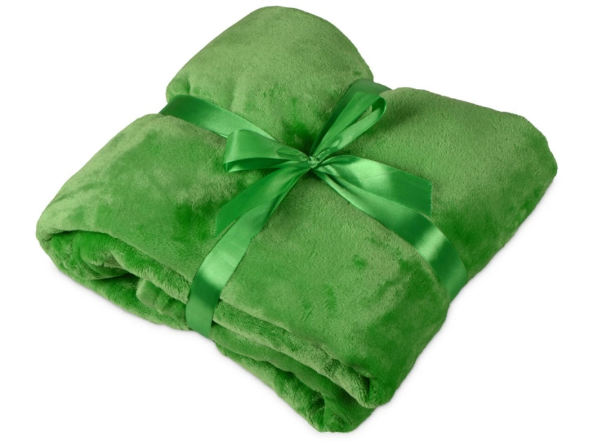 Подарочный набор с пледом, термокружкой Dreamy hygge, зеленый фото 4