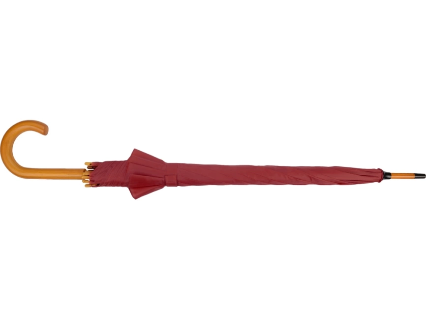 Зонт-трость Радуга, бордовый фото 4