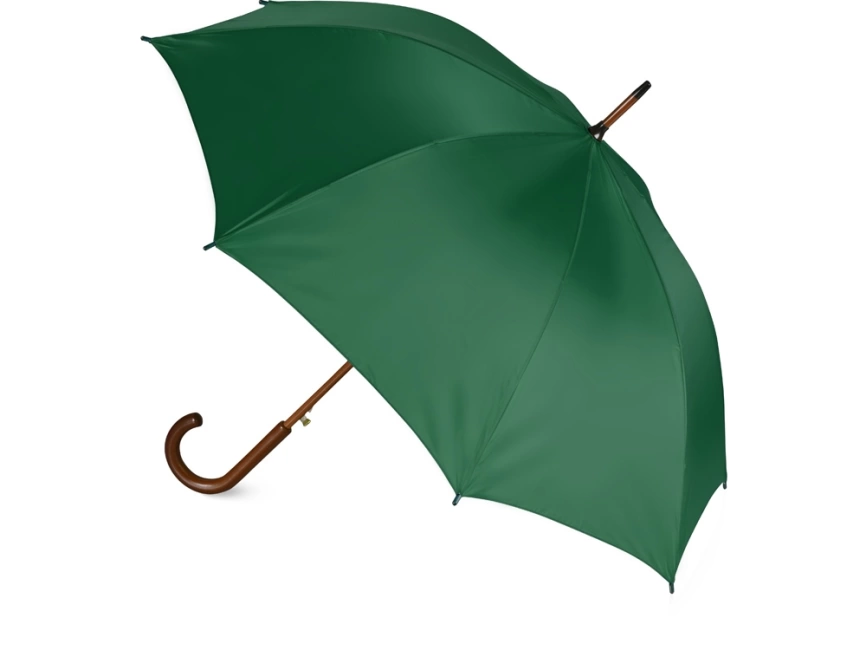 Зонт-трость Радуга, зеленый фото 2