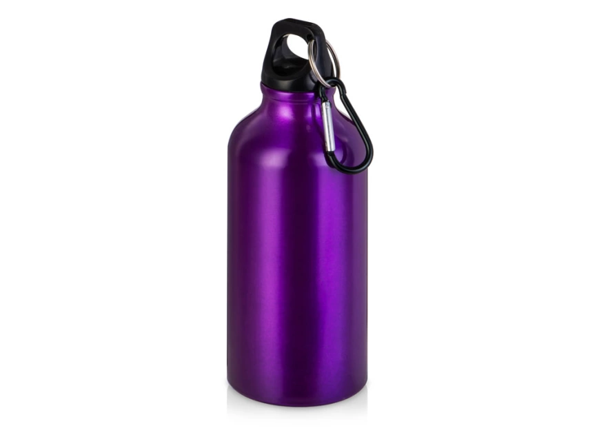 Бутылка Hip S с карабином 400мл, пурпурный фото 1