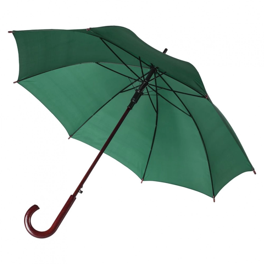 Зонт-трость Standard, зеленый фото 1