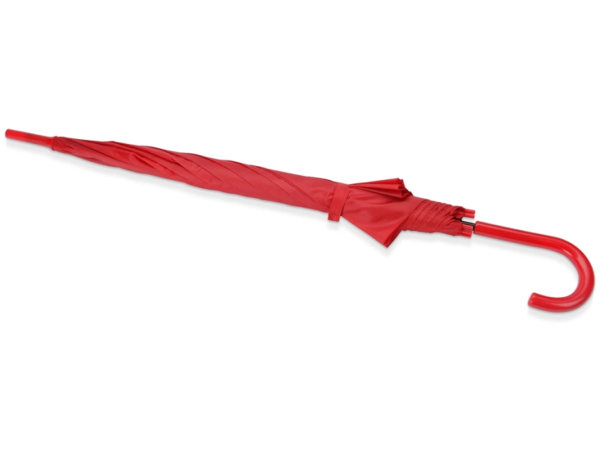 Зонт-трость полуавтоматический с пластиковой ручкой фото 3