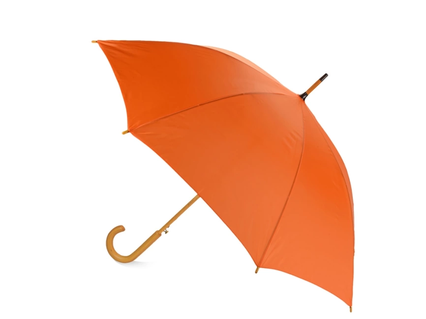 Зонт-трость Радуга, оранжевый фото 2
