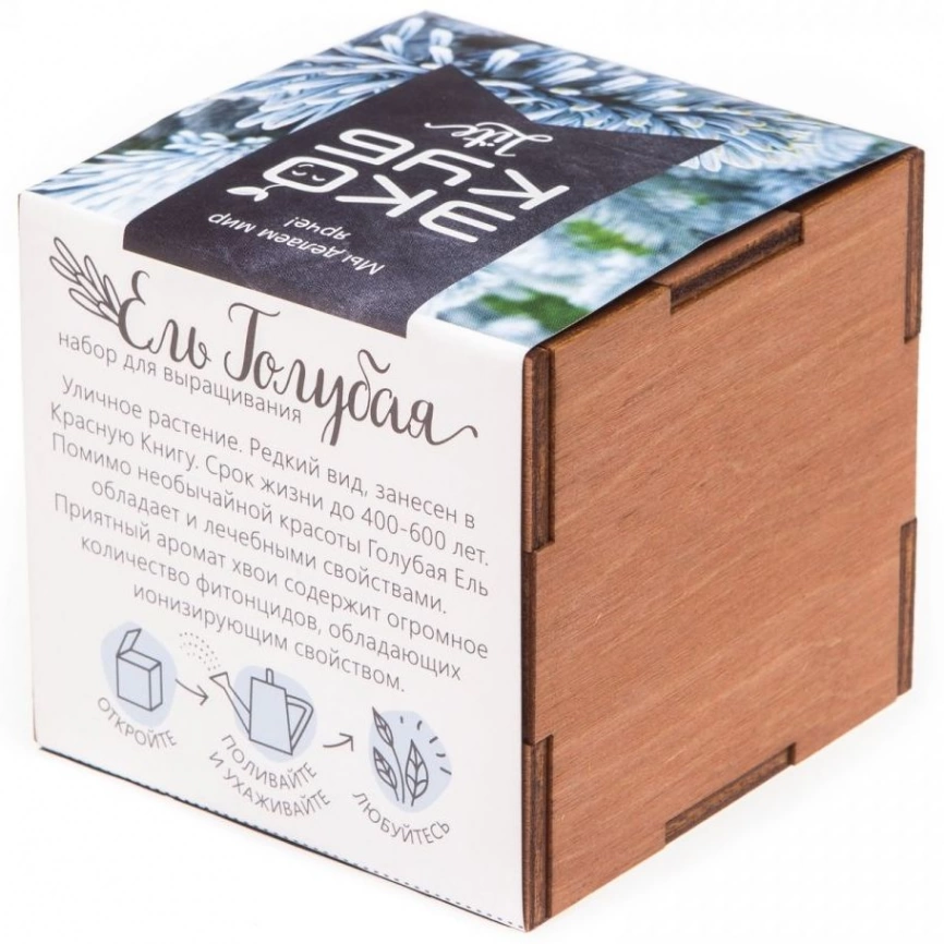 Набор для выращивания «Экокуб Lite», ель голубая фото 4