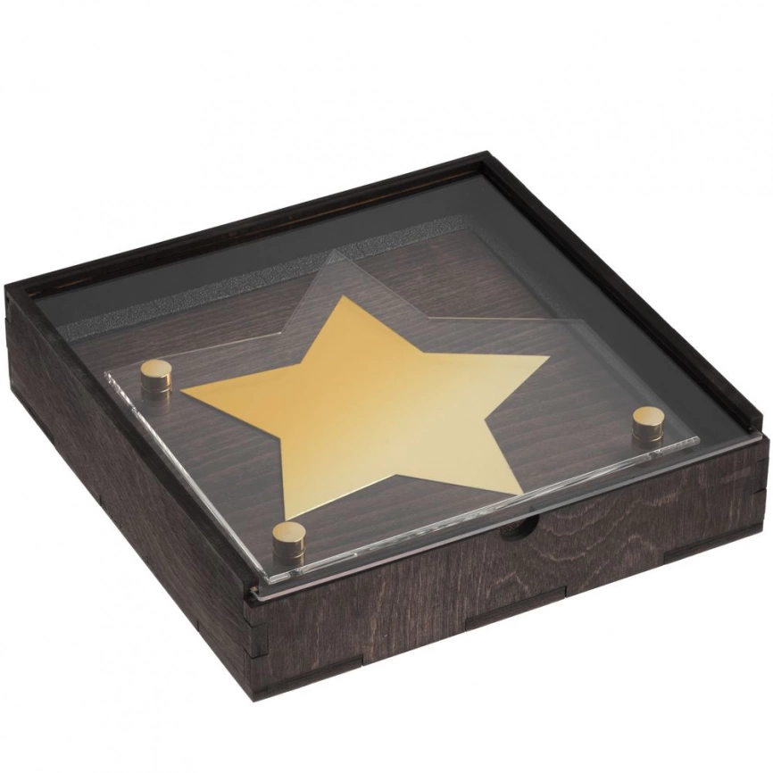 Награда Asteri Dark Gold фото 5