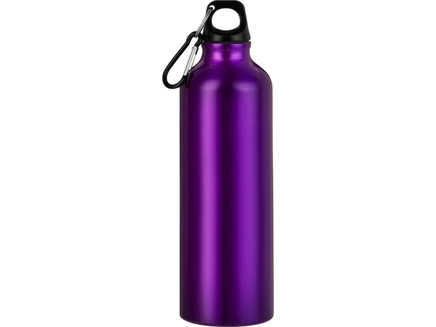 Бутылка Hip M с карабином, 770 мл, пурпурный фото 3