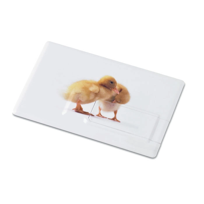 Creditcard. USB flash      4GB MO1059-06 фото 6