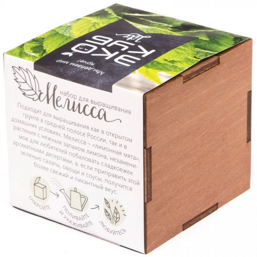 Набор для выращивания «Экокуб Lite», мелисса фото 4