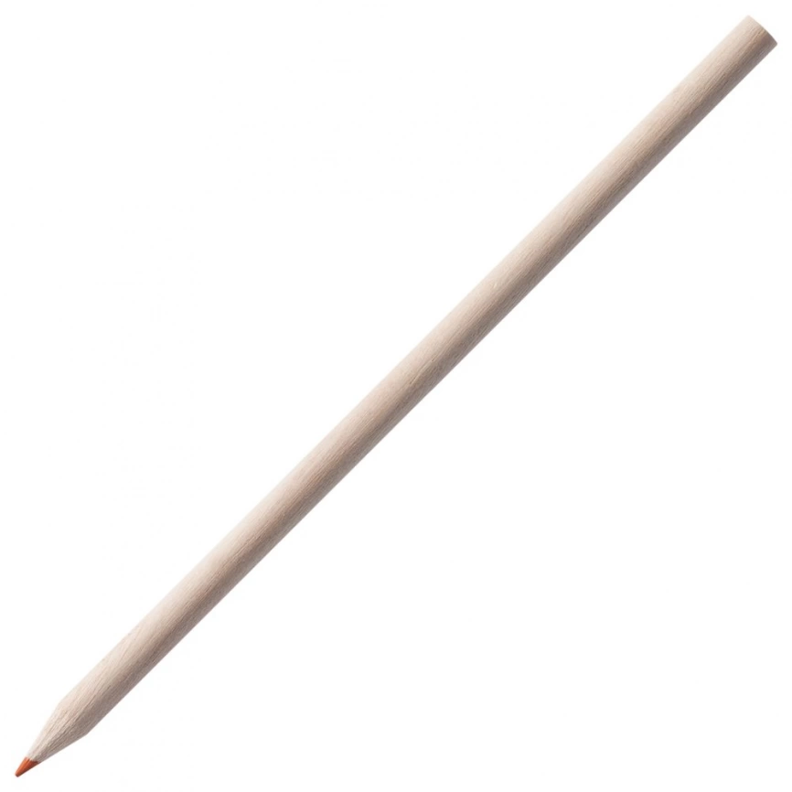 Набор цветных карандашей Pencilvania Maxi фото 4