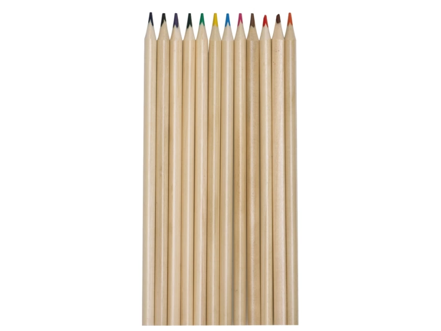 Набор из 12 цветных карандашей Painter, крафт фото 3