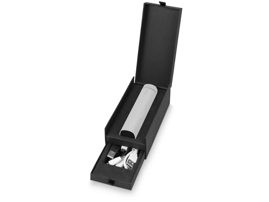 Портативное зарядное устройство Мьюзик, 5200 mAh, серебристый фото 10