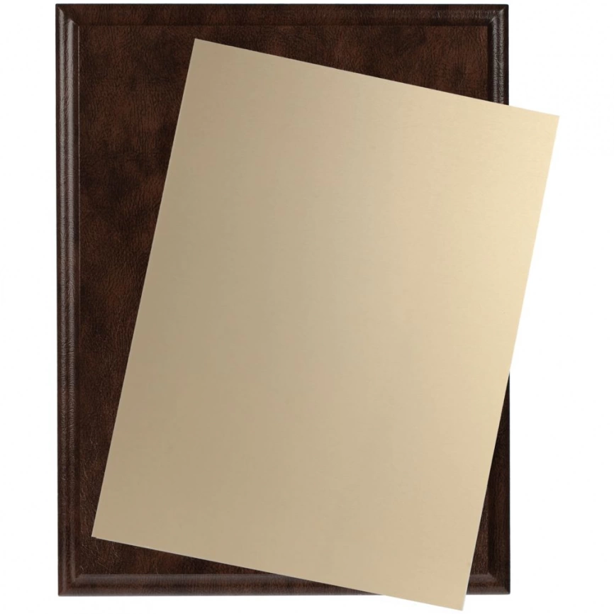 Плакетка Sleatherin Gold фото 3