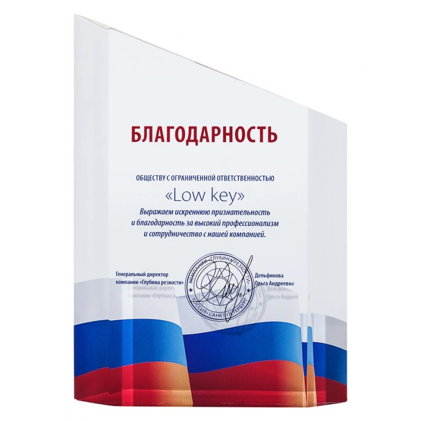 Награда «Взлет» фото 1