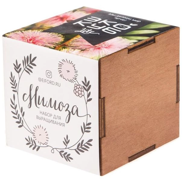 Набор для выращивания «Экокуб Lite», мимоза фото 1