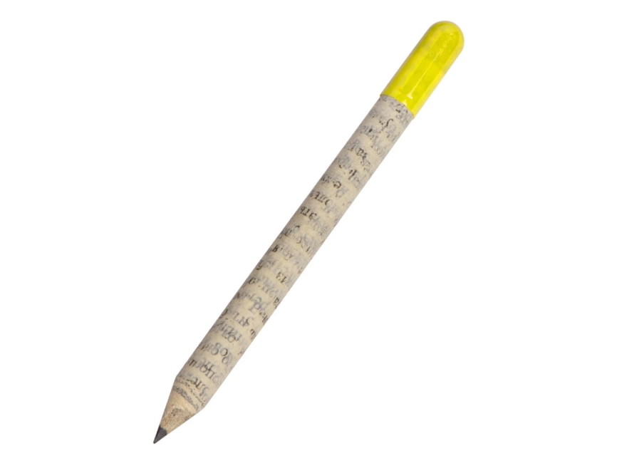 Растущий карандаш mini Magicme (1шт) - Акация Серебристая фото 1