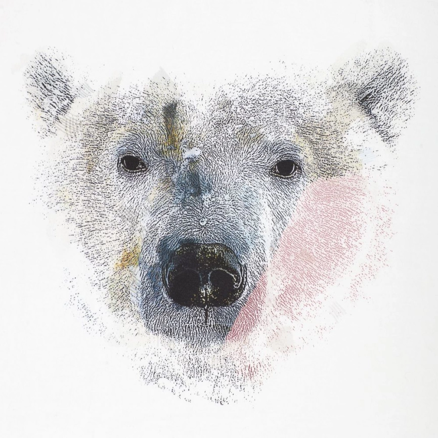 Холщовая сумка Polar Bro, молочно-белая фото 3