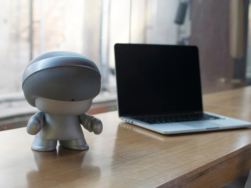 Портативная колонка XOOPAR Grand XBOY, серебристый фото 5