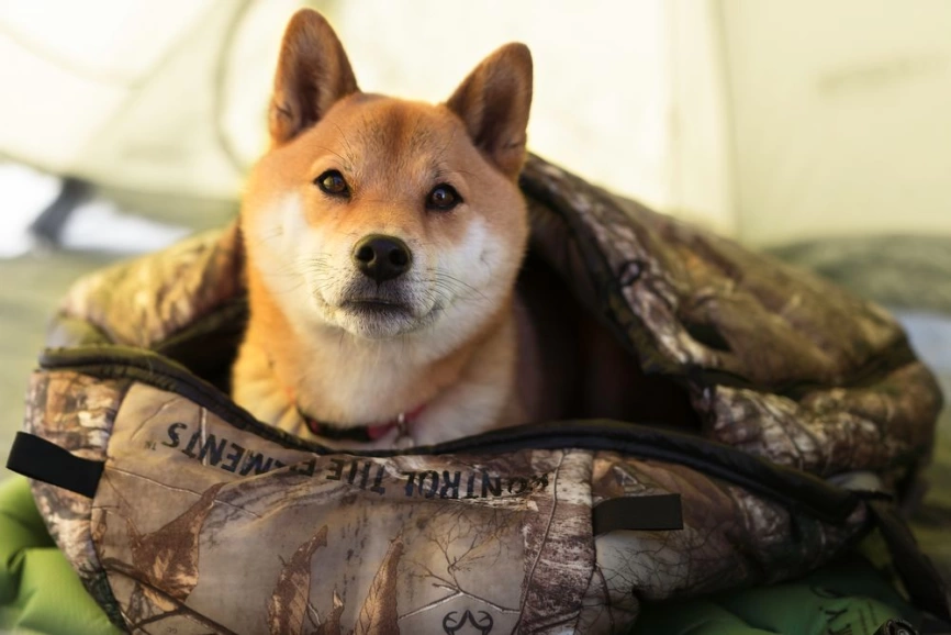 Надувной коврик Static V Realtree Camo, камуфляж фото 4