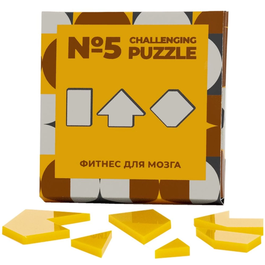 Головоломка Challenging Puzzle Acrylic, модель 5 фото 1