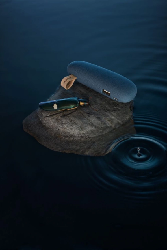 Внешний аккумулятор Pebble 2600 мАч, серо-синий фото 9