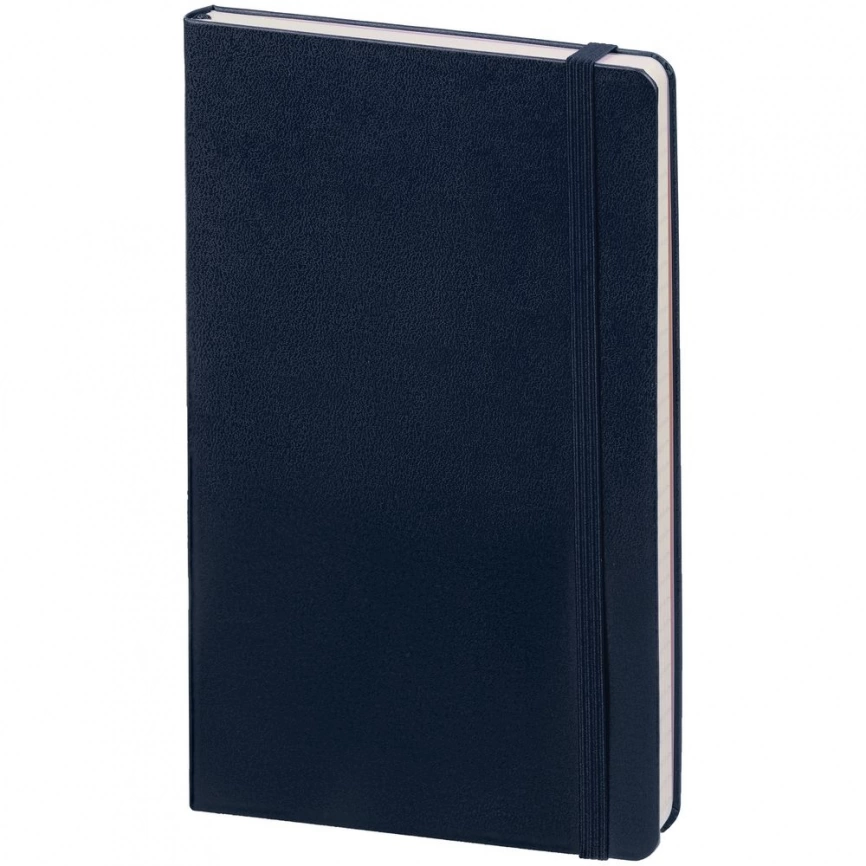 Записная книжка Moleskine Classic Large, в клетку, синяя фото 1